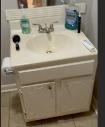 bathroom sink - 1489 Browns Chapel Road Unit #4 House