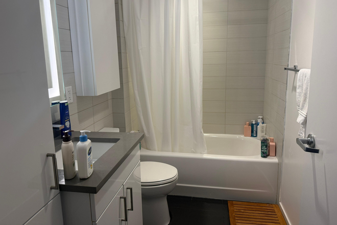 Washroom - Soldiers Field Park Modern 3b Furnished Apartment