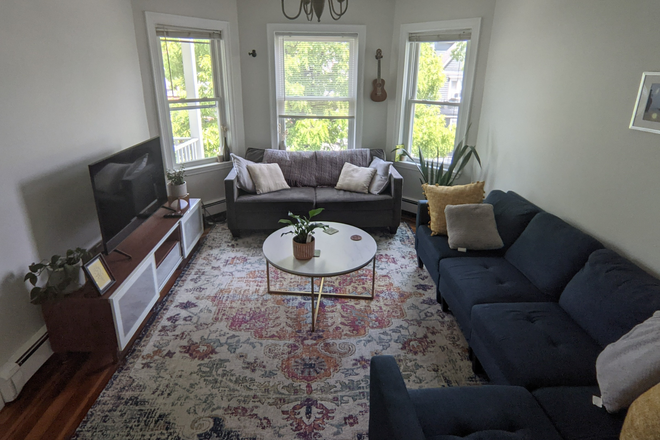 Living room - Summer Rooms available in 3bd/2ba apartment in Brighton!