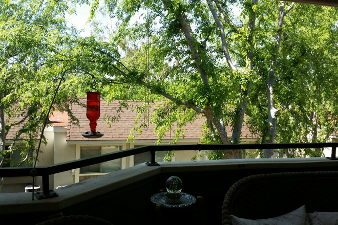 View of Outside from Upstairs Part of Condo - Large Room in Quiet Tree Lined Property