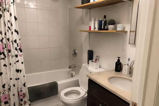 Shared Bathroom - (FOR MALE) Private room for rent in a shared basement at Whiteleas Avenue House