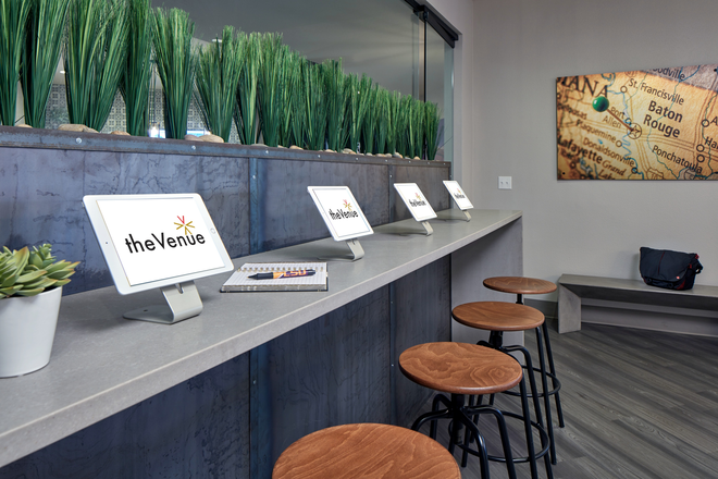 Photo - The Venue Apartments