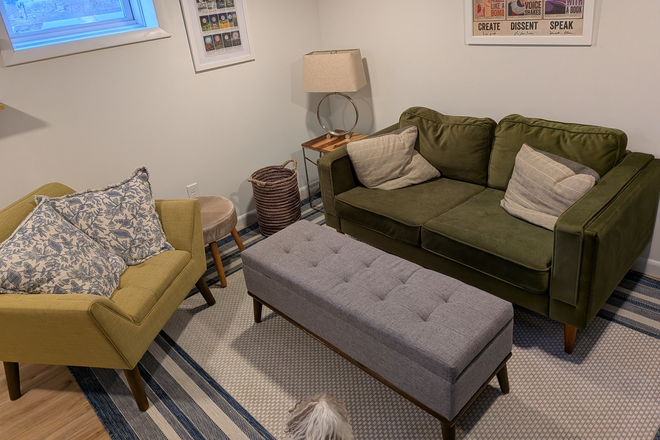 Basement living space - Basement bedroom plus small living area House