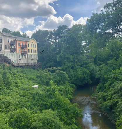 Overview of condo from bridge. Unit is corner unit. - Fully furnished 2BR/2BA “Tree House” condo, 1 mile from campus