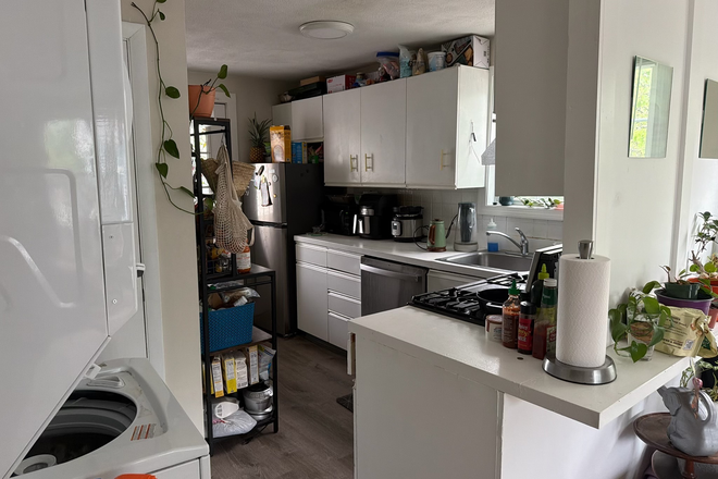 Kitchen - Lower Allston Apartment with in unit Washer Dryer near TJS and commuter rail