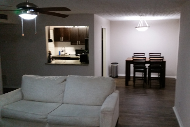Common area from entrance - 2 Bed 2 Bath Apartment, walking/biking distance to Emory