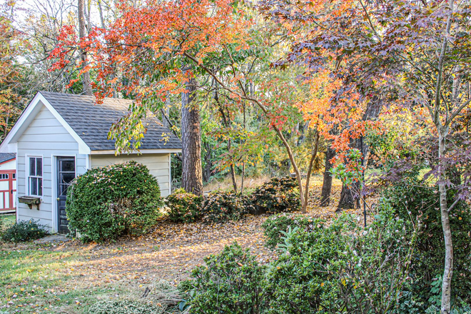 Backyard - Fieldbrook House