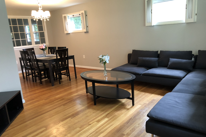 Main level living room - Gorgeous and spacious rooms near UMD campus!!! Cleaning service provided!