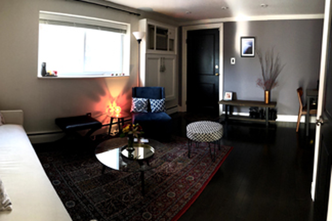 Living Room & Entry - Cambridge Furnished Owner’s Apartment/Condo 1br/1ba Near Harvard