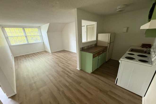 3 - Wonderful Pet Friendly 1 Bedroom in North Boulder. Available August 5th! Condo