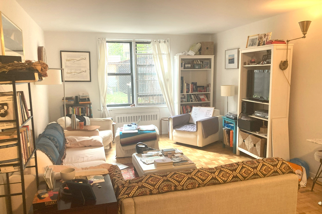 View of living room from dining area - NEW:  Furnished 1 Bed, West Village, available JUNE28