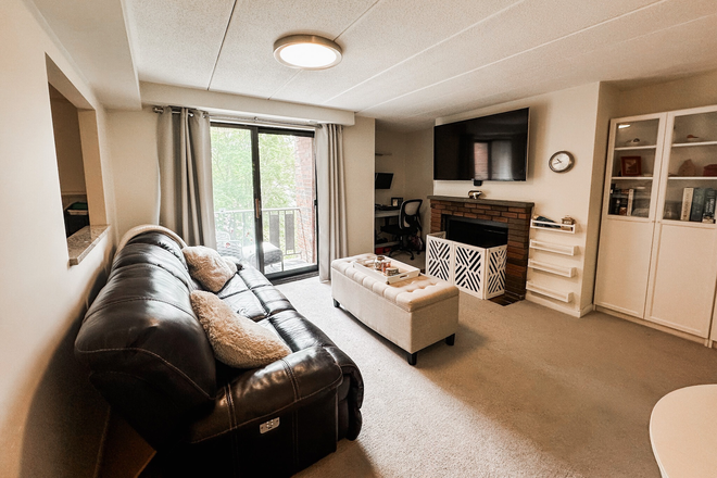liivng room - Fully Furnished Harvard Square 2b 2b with off street parking Condo
