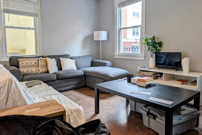 Living room - Semi-furnished 2BR apt-Spring St-Princeton