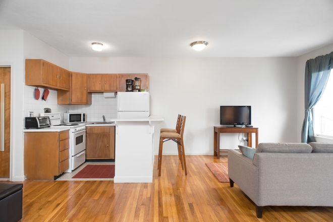 Living Kitchen - Back Bay Furnished Studio w/ Skyline Views Apartments