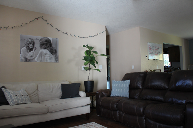 Living Room. Comes furnished as shown. - Master Bedroom & Half Bath Close to Campus House