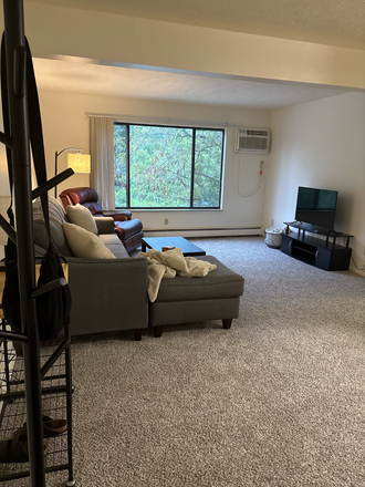 Living Room - Ashton Lake Apartments