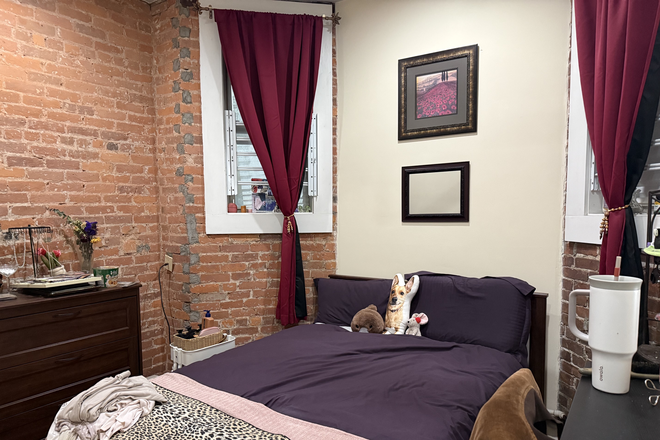 Bedroom - Walking distance from Berklee campus, close to Time Out Market. Warm, cozy apartment.