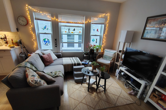 Living room - Dorchester (Fields Corner) Apartment