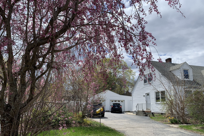 Side - Great Location-Individual rooms available for rent in Foster Dr Area Bus lines House UCONN & ECSU