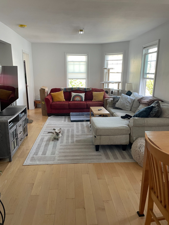 Living room - Beautifully Renovated 3br - 2 occupant Apartment East Watertown, 3min Walk to 71
