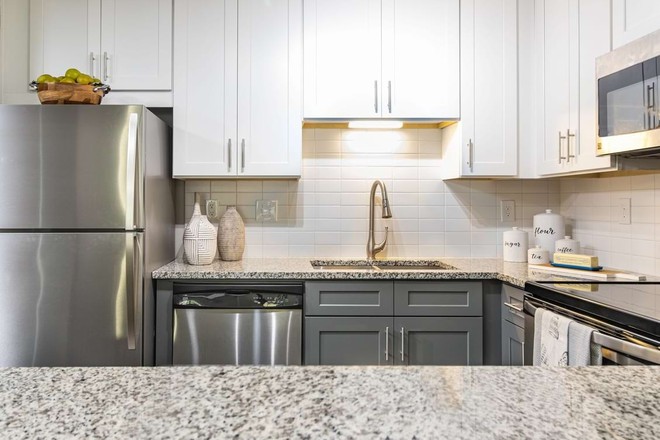 Kitchen - 1 Bedroom in 2b2b /Fully Furnished/Late Jan Flexible Move-in/Female Only/Cortland Viridian Apartments