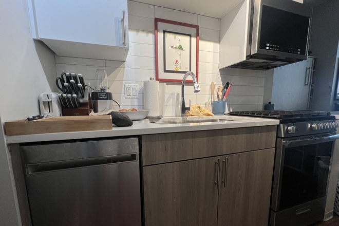 Kitchen (Dishwasher/Oven) - The Link Evanston Apartments