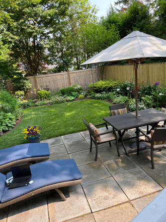 Back garden - January only-Furnished room in home-Pelham St-Princeton