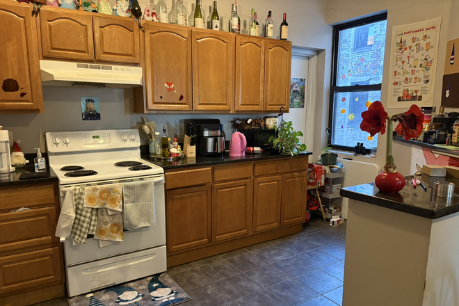 OPEN CONCEPT Living Room/Kitchen - 1056 Commonwealth Ave 4 bed - CLOSE TO WEST CAMPUS, BABCOCK TRAIN STOP & STAR MARKET!!