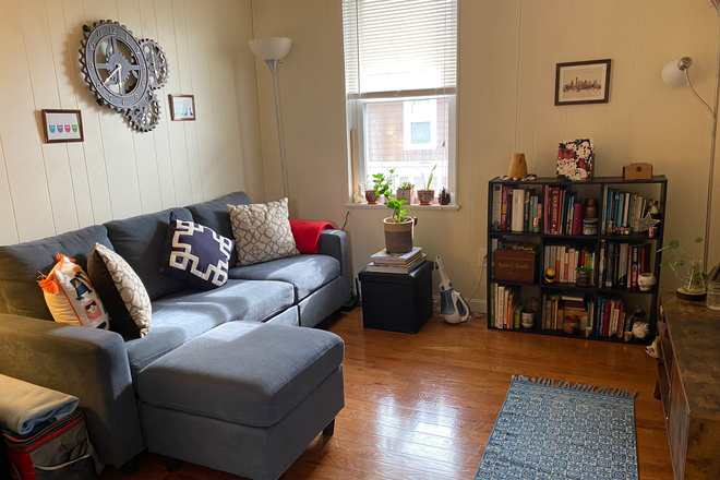 Living Room - Renovated 1 Bedroom apartment in Porter Square