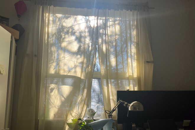 Window in Bedroom - 1 Furnished Bedroom in Convenient 7-Bedroom House