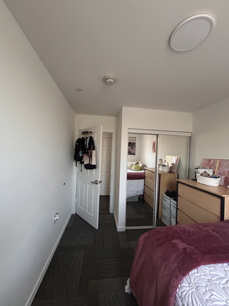 Bedroom B - South Campus Commons 5 apartment with a 4x2 layout on the 5th floor.