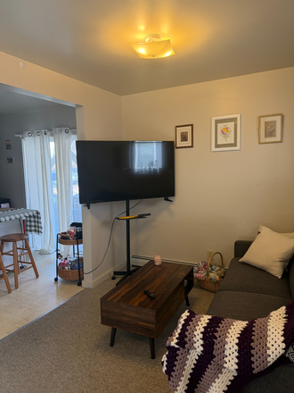 Living room - Furnished Apartment Summer Sublet
