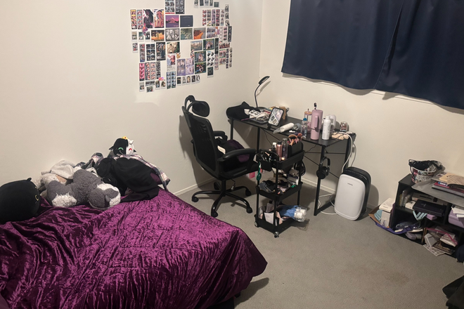 bedroom #1 - Spacious Bedroom Available for Rent  - Near USF Apartments