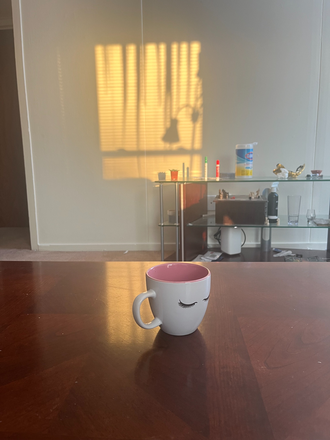 living room sunset - Puffton 1 bedroom available, Summer + lease transfer starting Sep 1st, flexible move in