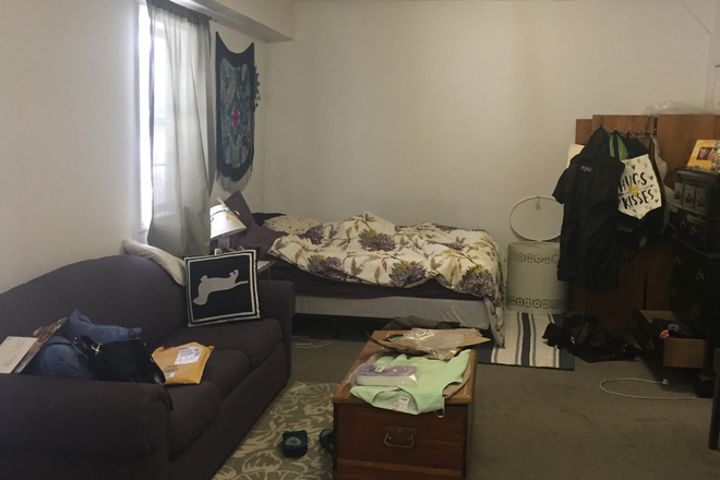 View of living/ sleeping area - Available July 1.  Large furnished studio apartment.