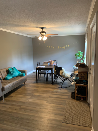 Living Room - Apartment close to campus