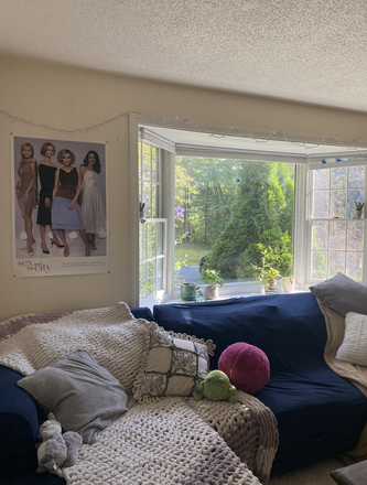 Living Room (first floor) - 1020 Federal Street Unit A House