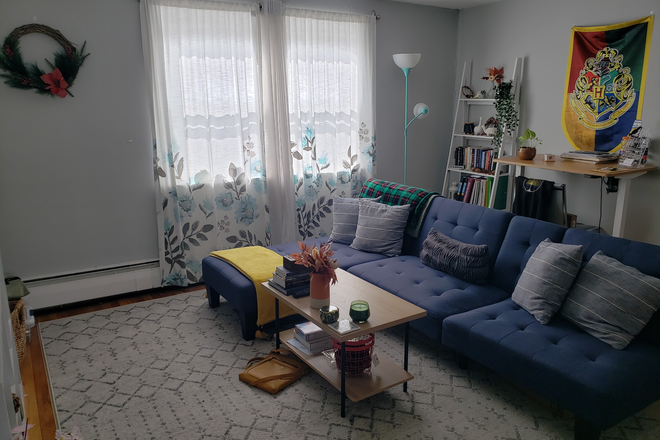 Living Room - 1 bed/1 Bath in Brighton for Sublet June 15 through Sept 30th