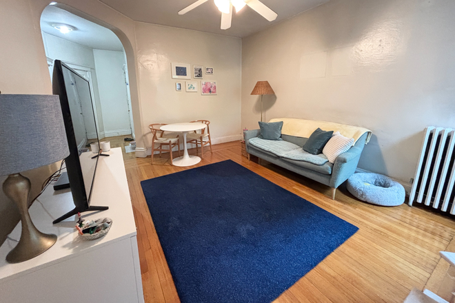 living room - Sunny top floor Coolidge Corner 1 bed - NO FEE! Apartments