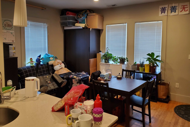 living room - Huge 5 bed townhouse located next to the Green Line in Allston.