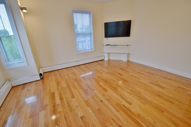 Living room - Brand New 4 Bed 2 Bath on Brookline St! H&HW INCL! Avail 9/1/25 (Cambridge)