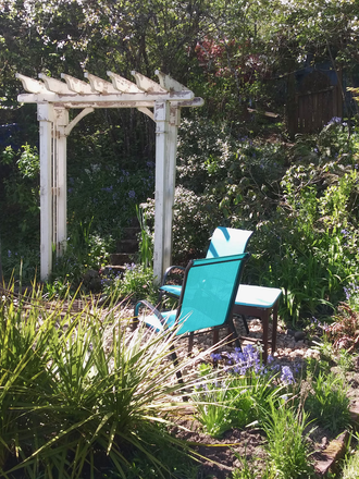 back yard - Cute 4 bedroom 2 bath home close to campus, loved by all