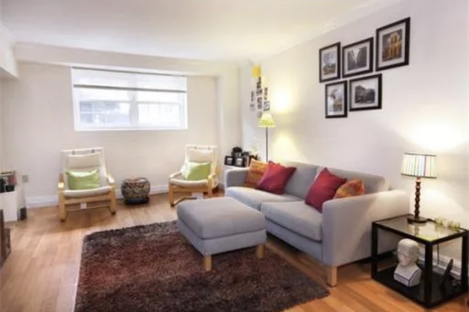 living room - Spacious Garden Level Coolidge Corner 2 bed/2 bath - NO FEE! Apartments