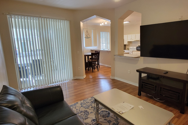 Living Room - 4x4 unit across the street from USF Apartments