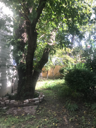 Large Backyard - Logan Circle - 1611 6th St. NW. Two Bedroom, 1.5 Bath Townhouse. Large Yard. Central Air.