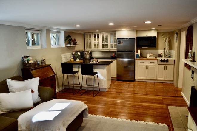 Open plan living room and kitchen area - Walk to Campus. Large garden level, 1-bedroom, furnished apartment with open plan kitchen living.