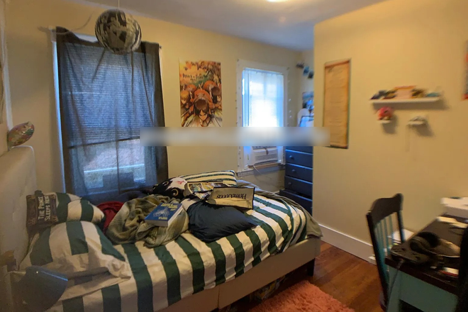 - - Close to Campus! 4 bed 1 bath w/ Laundry Available 6/1/26 Apartments