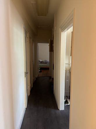 hallway - Nice and affordable 1 bedroom apartment for JHU students/staff