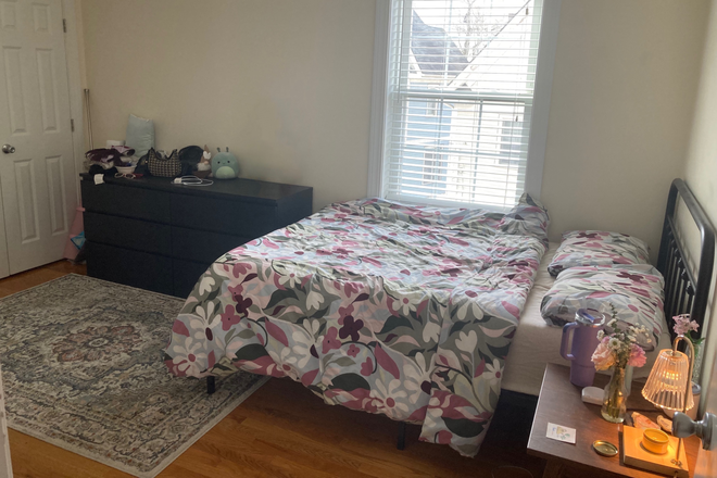 Bedroom - Summer sublet in private room, all girls
