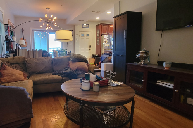 Living Room 1 - Furnished, Pet Friendly 1BR Condo near Red Line and South Bay Amenities